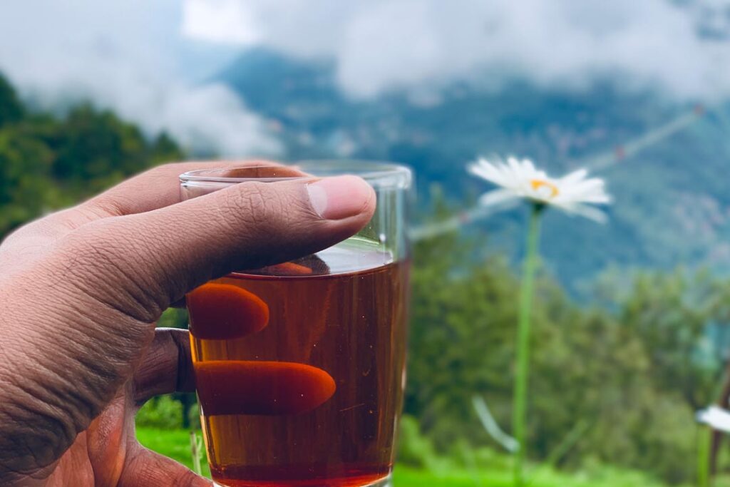 Can a Sip of Tea Truly Capture the Essence of a Place? What Makes Chai the Soul of India?