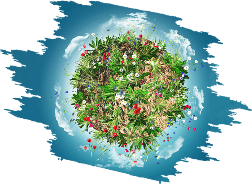 tea-plannet-min